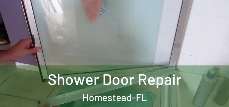 Shower Door Repair Homestead-FL